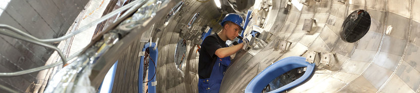 Das Max-Planck-Institut für Plasmaphysik Das Max-Planck-Institut für Plasmaphysik