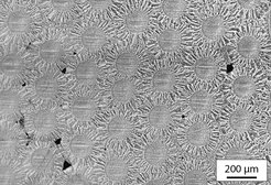 Cross-section of the new tungsten compound. The microscope shows the circular cross-sections of hair-fine tungsten wires, tightly bunched and embedded in a tungsten matrix.
