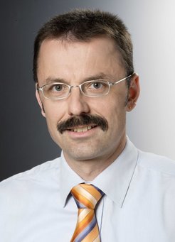 Prof. Dr. Robert Wolf