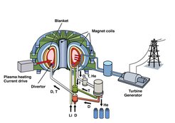 Layout of a future tokamak fusion power plant