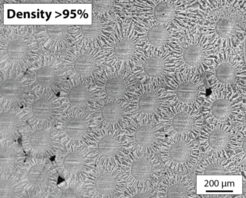 Cross-section of a tungsten fibre reinforced tungsten composite, which was produced by a newly developed chemical vapour infiltration method of tungsten (W-CVI). The circular structures with a diameter of 150 µm are the fibres.