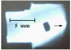 Pellet injection