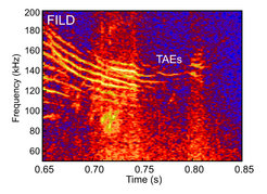Eines der preisgekrönten Messverfahren: Durch Lichtsignale in einem speziellen Szintillator-Messgerät (FILD: fast ion-loss detector) lassen sich energiereiche Plasmateilchen nachweisen, die im Takt einer Magnetfeldstörung – einer toroidalen Alfvén-Eigenmode – aus dem Plasma nach außen transportiert werden und verloren gehen.