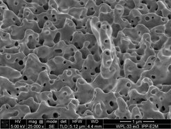 Elektronenmikroskopische Aufnahme einer ehemals glatt polierten Wolframoberfläche nach GLADIS-Tests, bei denen Oberflächentemperaturen bis zu 2000 °C erreicht wurden. Der Größenbalken rechts unten zeigt 1 Mikrometer an.