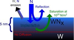 Image: IPP