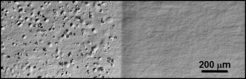 Konfokale Lasermikroskopaufnahme einer Wolframoberfläche nach Deuteriumimplantation. Die rechte Seite der Probe wurde vor der Deuteriumimplantation mit einer ca. 100 nm dicken WNx-Schicht bedeckt. Auf der reinen Wolframoberfläche (links) ist starkes „Blistering“ („Blasenbildung“, d.h. Bildung gasgefüllter Hohlräume unter der Probenoberfläche) zu beobachten während auf der mit WNx bedeckten Seite (rechts) keine Blister gebildet werden.