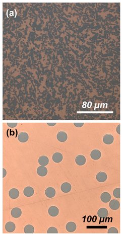 Micrographs of (a) a tungsten-copper composite metal with a composition of 60 wt.% tungsten and 40wt.% copper and of (b) a tungsten fibre-reinforced copper composite whose reinforcing phase consists of tungsten fibres with a nominal diameter of 50 µm.