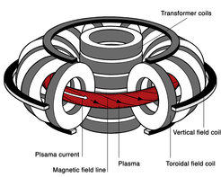 Magnet system of a tokamak fusion device