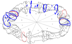 Equilibrium Diagnostics