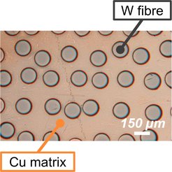 Metallographic microsection of a unidirectionally reinforced tungsten fibre-reinforced copper composite material.