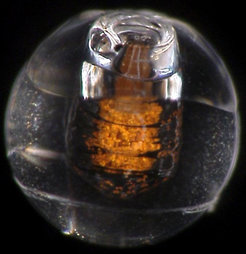 A sub-millimeter sized pellet used to inject trace amounts of impurities – gold in this photo – into the LHD stellarator at NIFS, Japan.