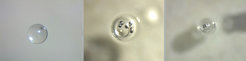 Handcrafted polystyrene pellets containing trace impurities. Left to right: a 0.7 millimeter pellet ready to be hollowed out, a pellet filled with titanium and a pellet with a lid on.